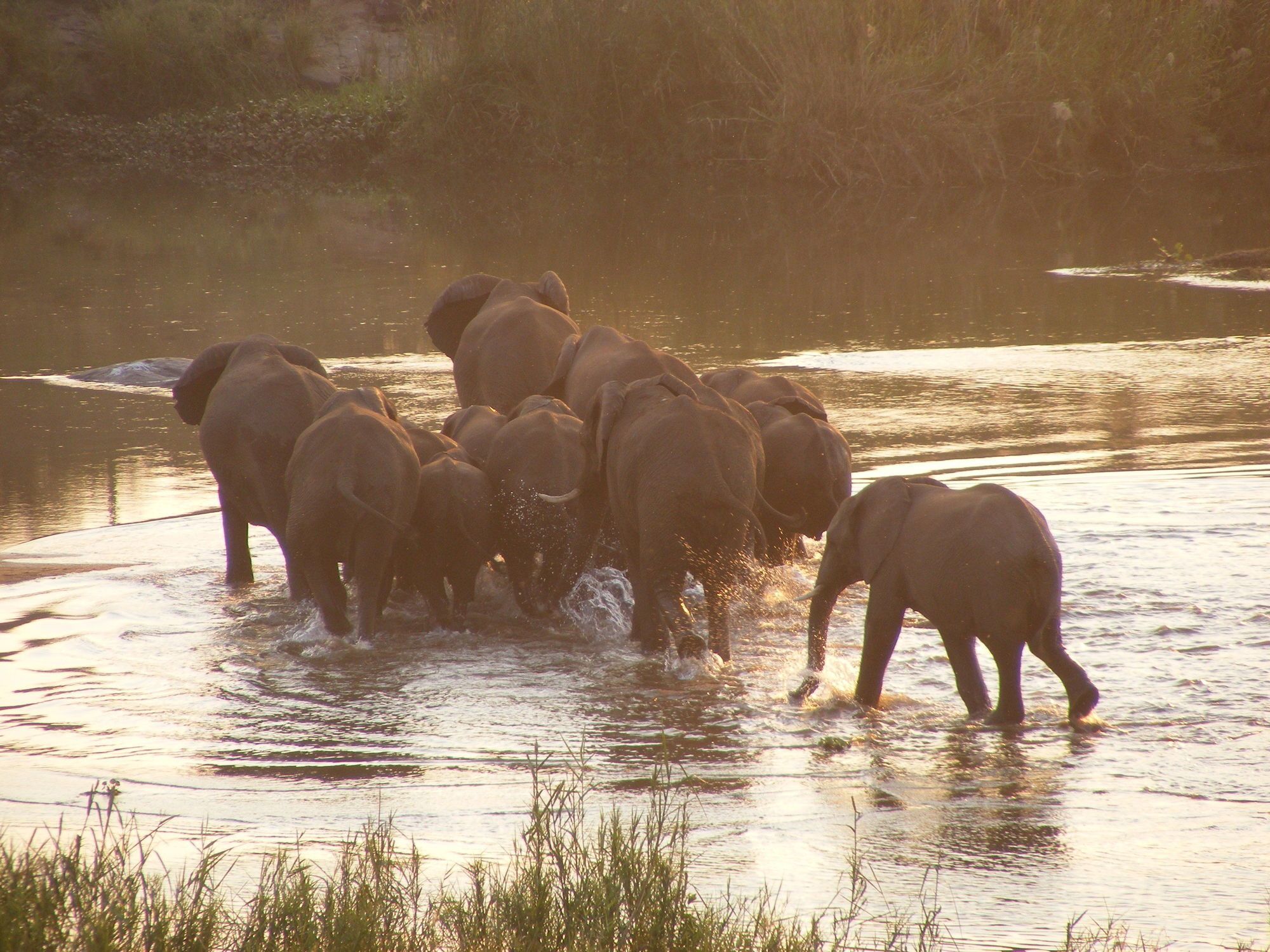 Elephant Walk Retreat 科马蒂普特 外观 照片
